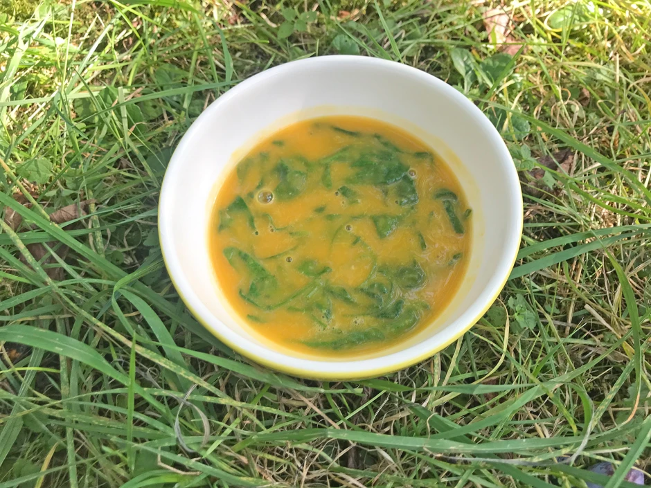 K&uuml;rbis-Spinat-Suppe