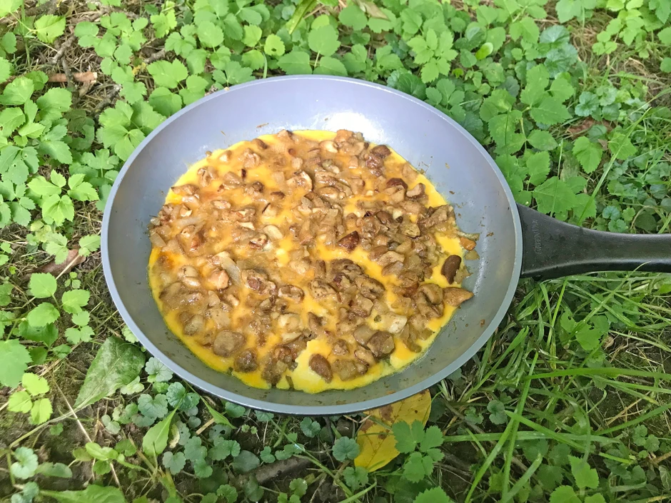 Steinpilz-Frittata