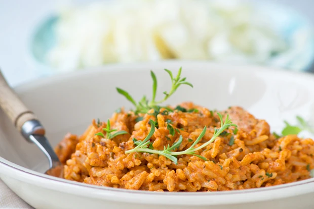 Rahmreisfleisch mit H&uuml;hnerbrust