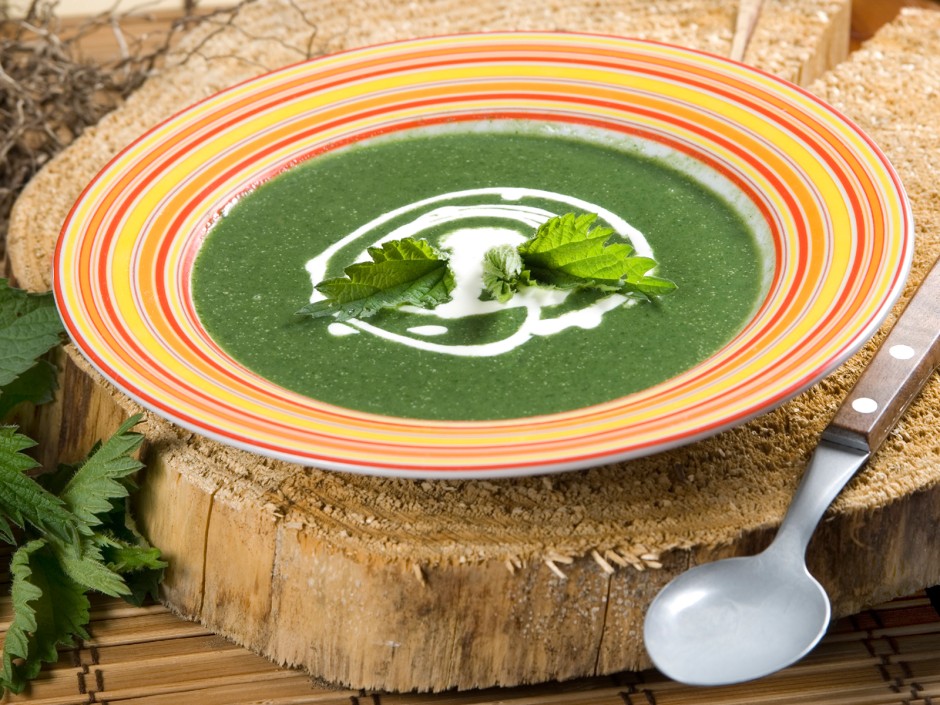 Brennesselsuppe