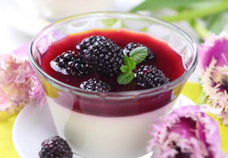 Italienische panna cotta