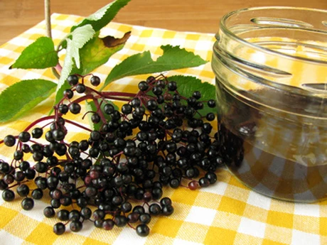 Holundermarmelade