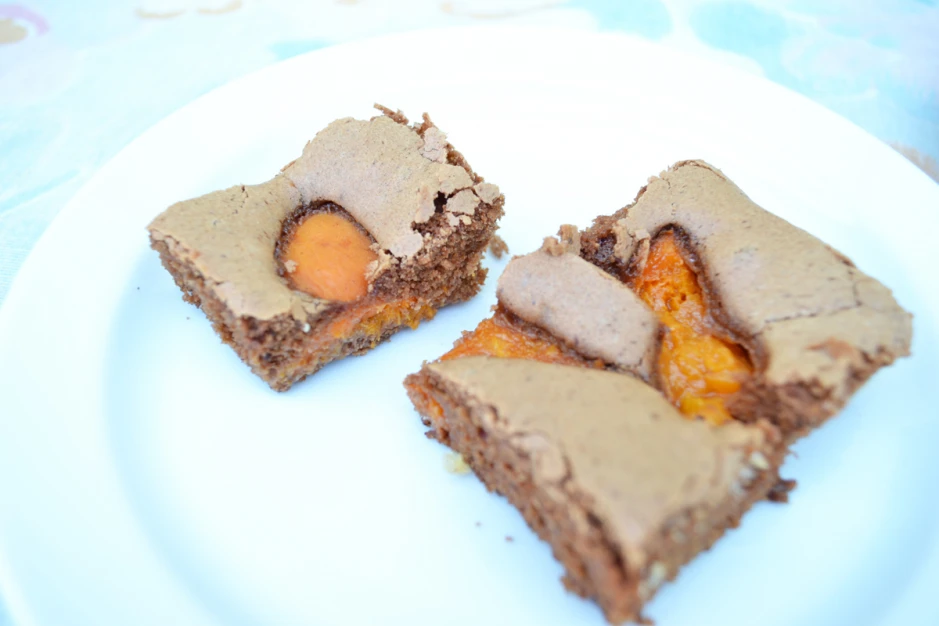 Marillen-Schoko-Kuchen