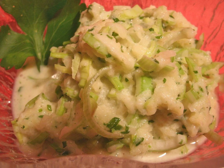 Apfel-Lauch Rohkost