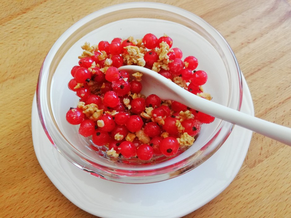 Ribiseldessert mit Crunch