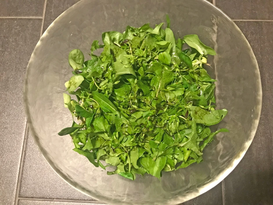 Wildkr&auml;utersalat