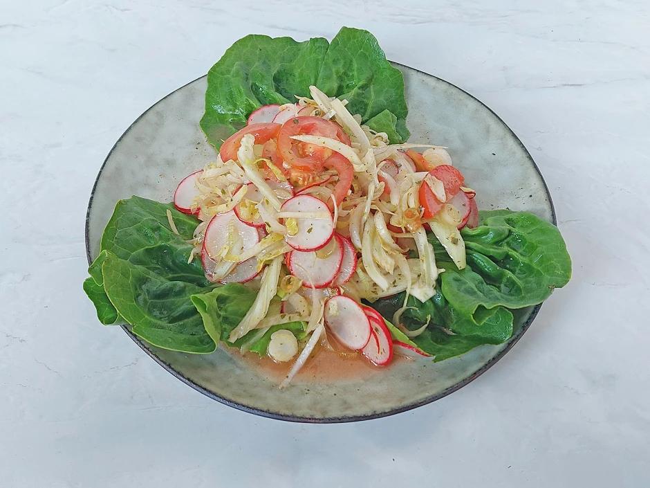 Fenchel-Chicorée-Salat