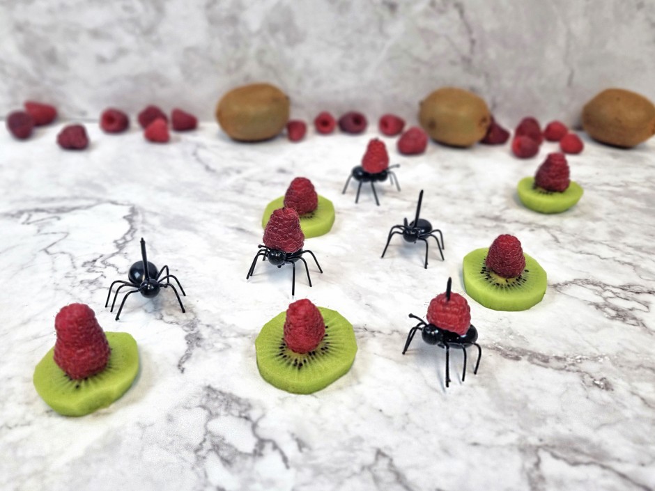 Kiwi-Himbeeren Snack 