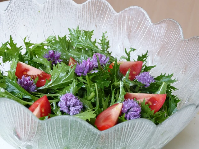 Asia Salat