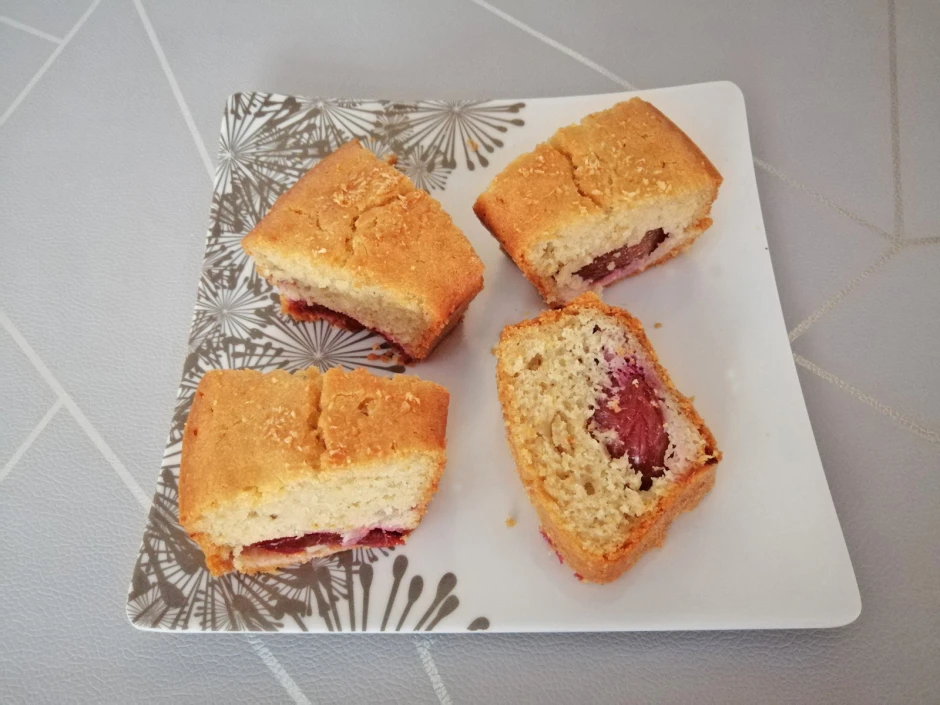 Schneller Zwetschkenkuchen mit Stevia aus dem Camping-Backofen
