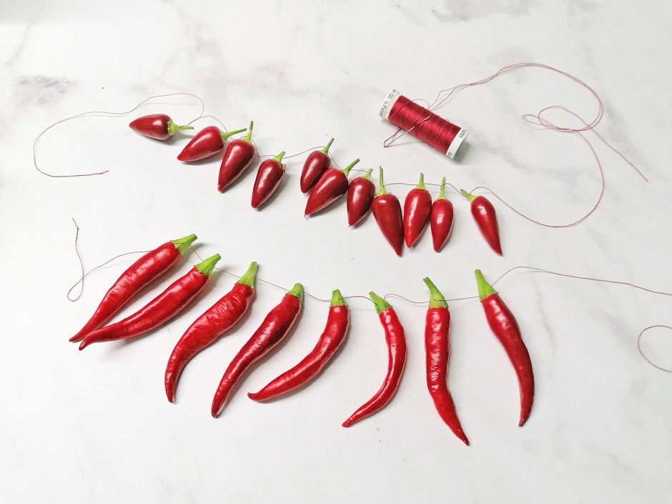 Küchen Chili trocknen