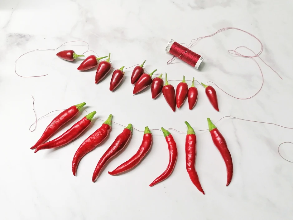 K&uuml;chen Chili trocknen