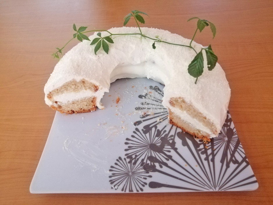 Topfencreme-Torte aus dem Camping-Backofen