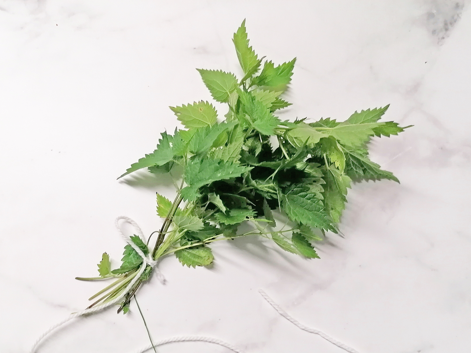 plantura bio dünger kaufen Bio-Universaldünger kaufen main image 1