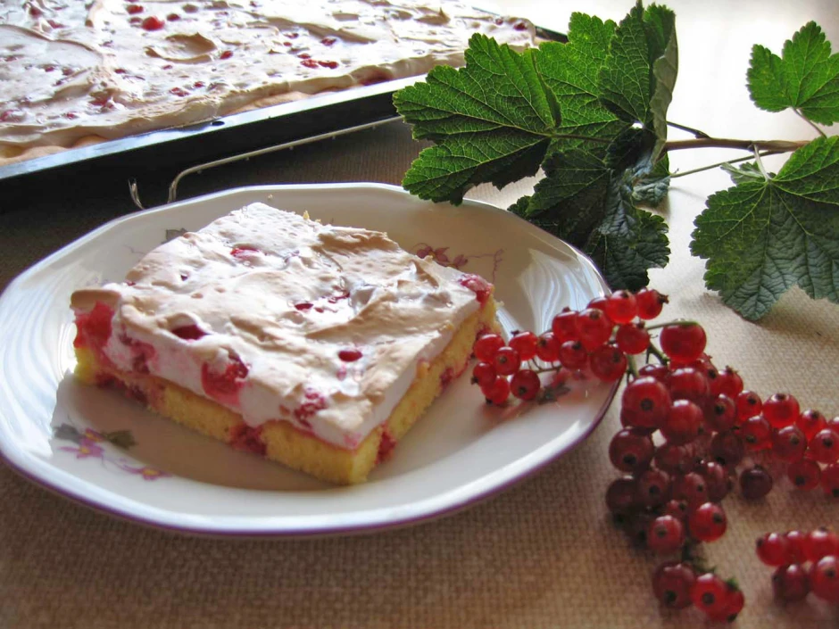 Ribiselschaumschnitte
