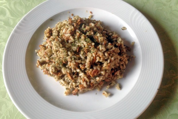 Eierschwammerlrisotto