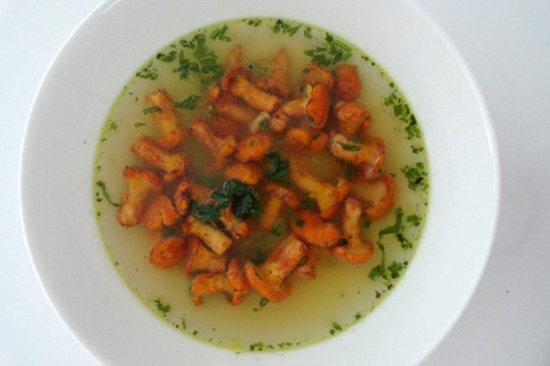 Eierschwammerlsuppe