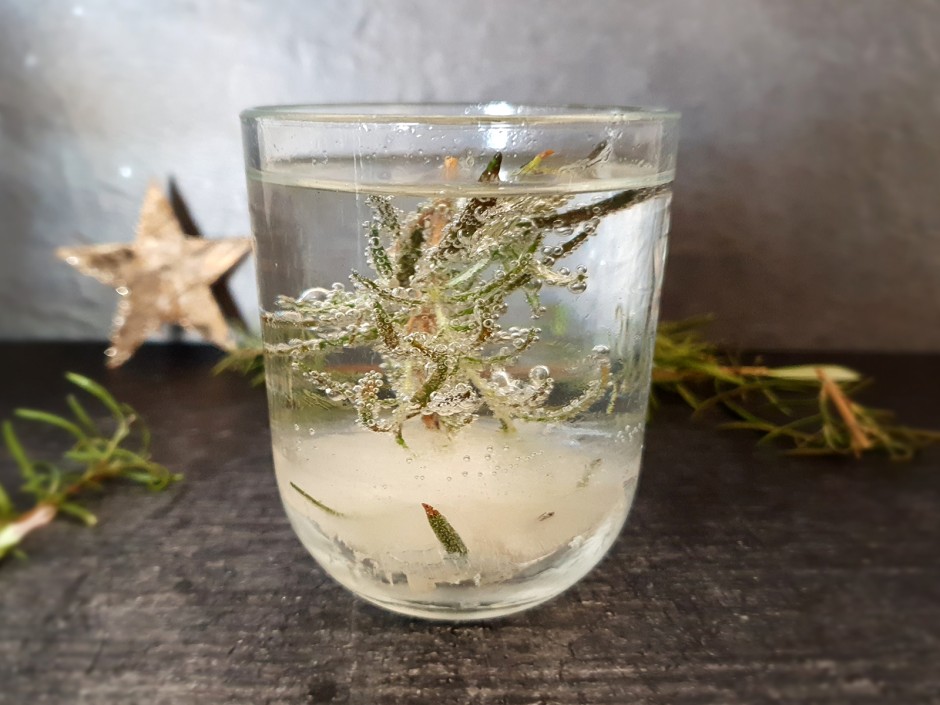 Snow Globe Cocktail
