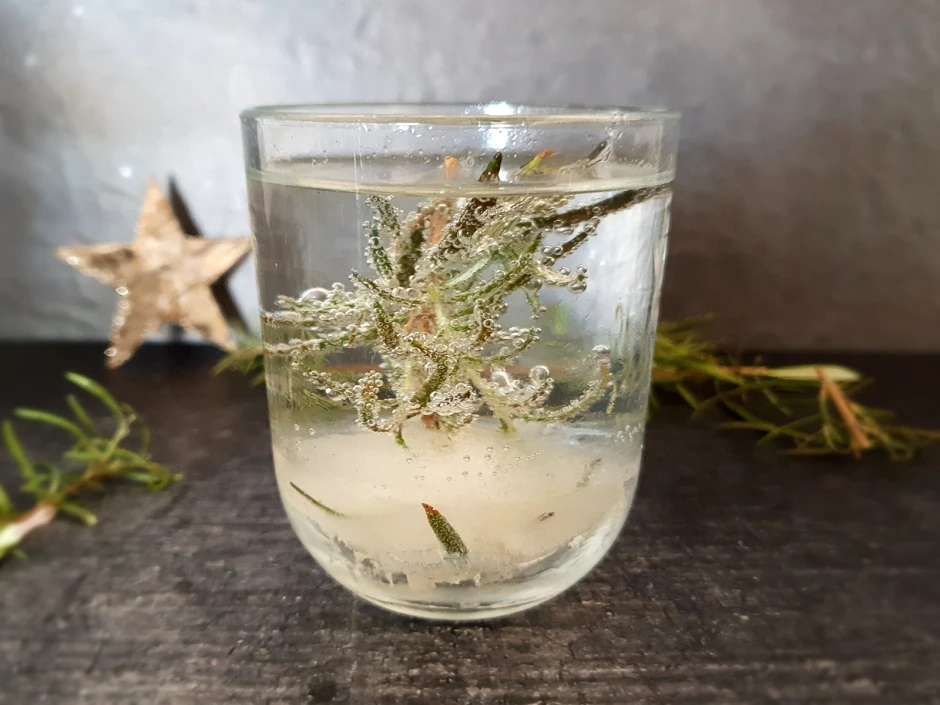 Snow Globe Cocktail