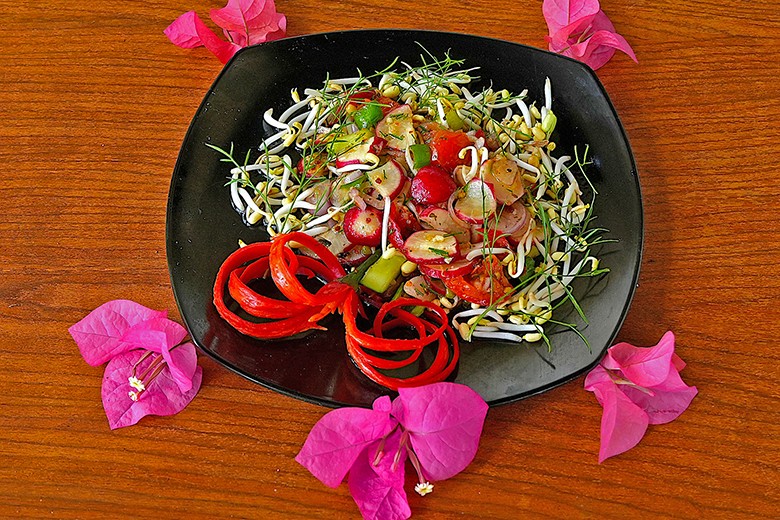 Gemischter Radieschensalat mit Keimlingen