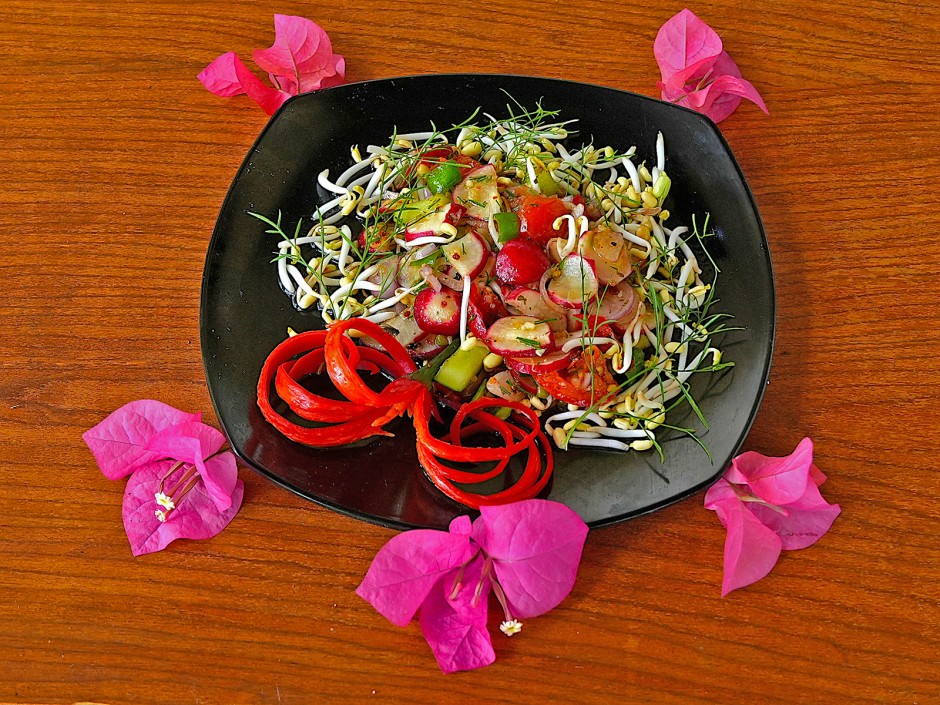 Gemischter Radieschensalat mit Keimlingen