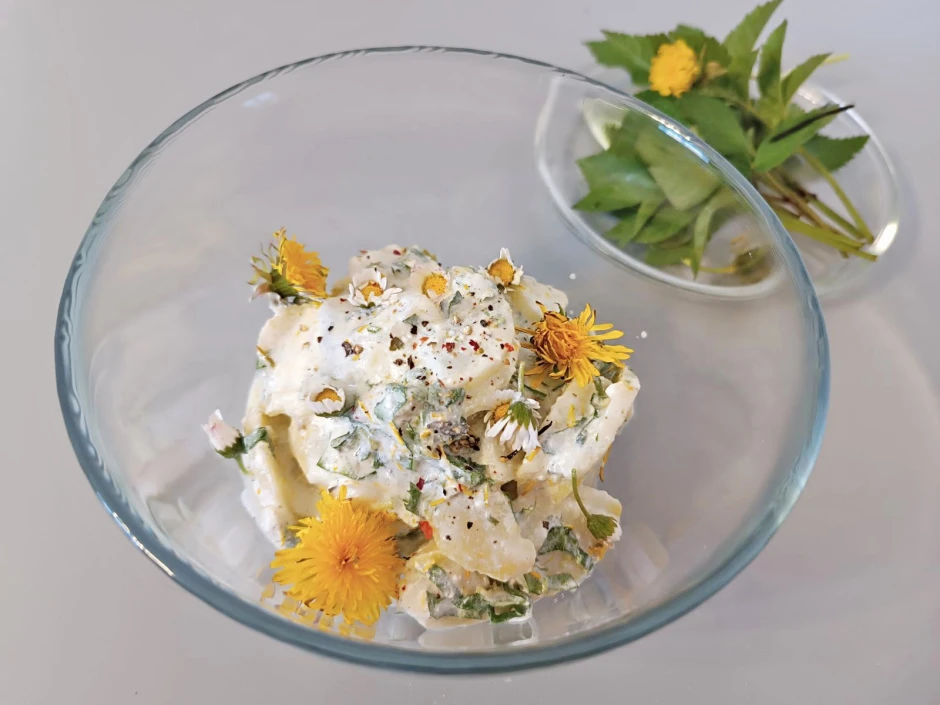 Frühlingssalat