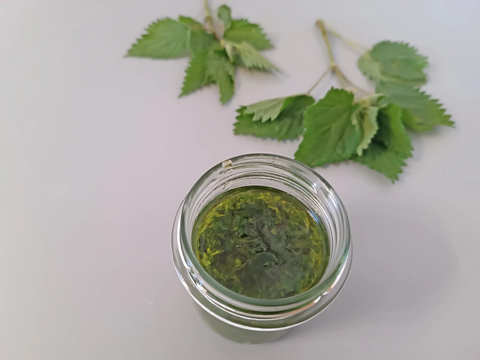 Brennnessel-B&auml;rlauch Paste