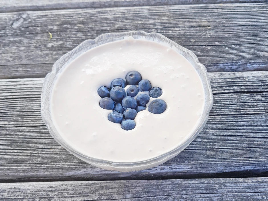 Naturjoghurt mit Heidelbeeren
