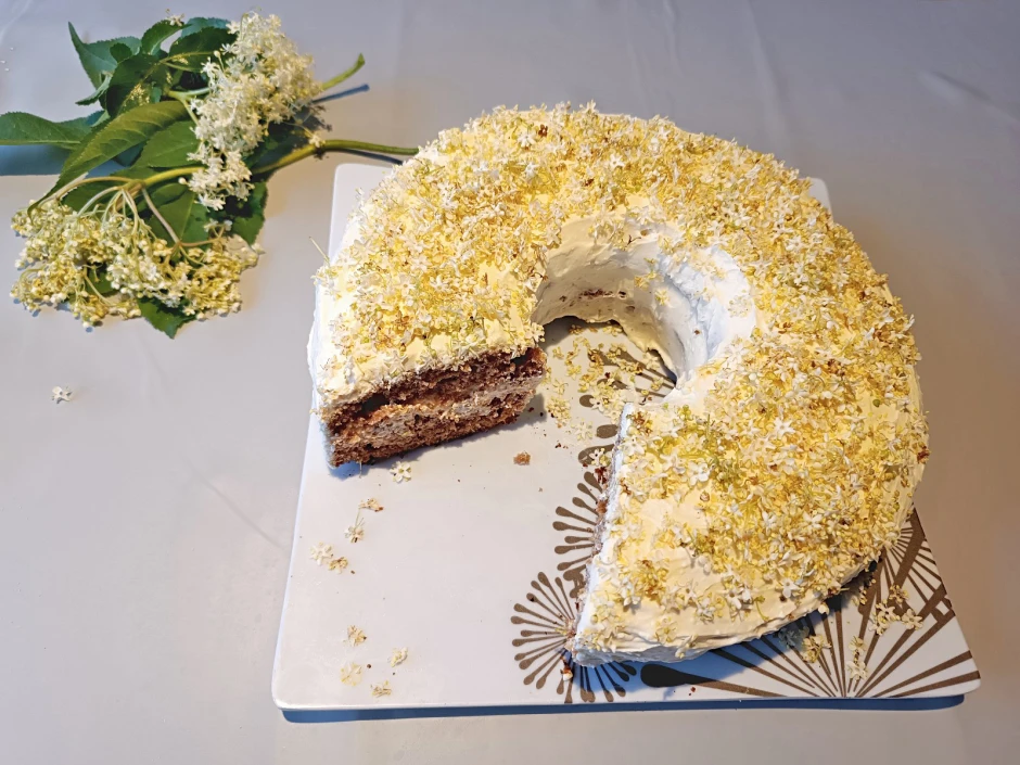 Hollerbl&uuml;tenkuchen aus dem Camping-Backofen