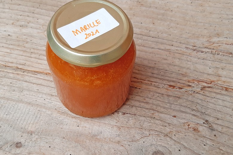 einfache Marillenmarmelade