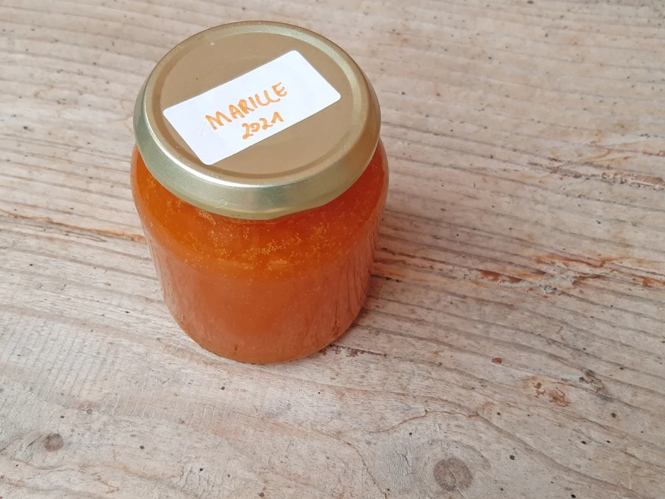 einfache Marillenmarmelade