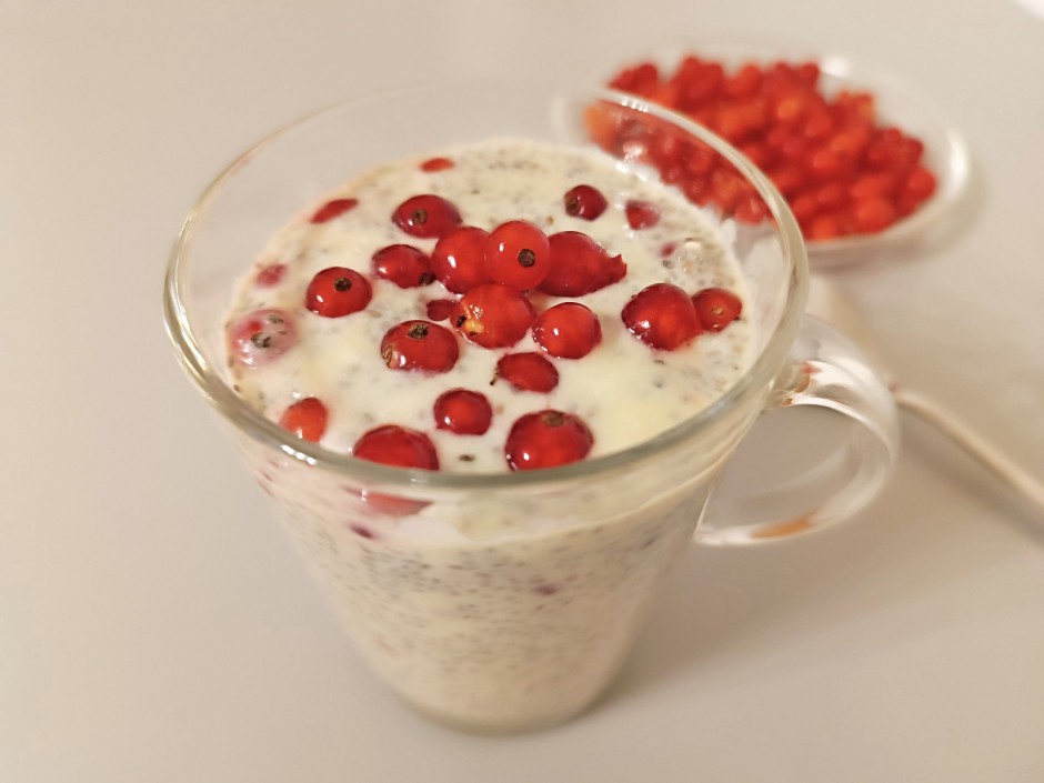 Milchkefir mit roten Ribiseln