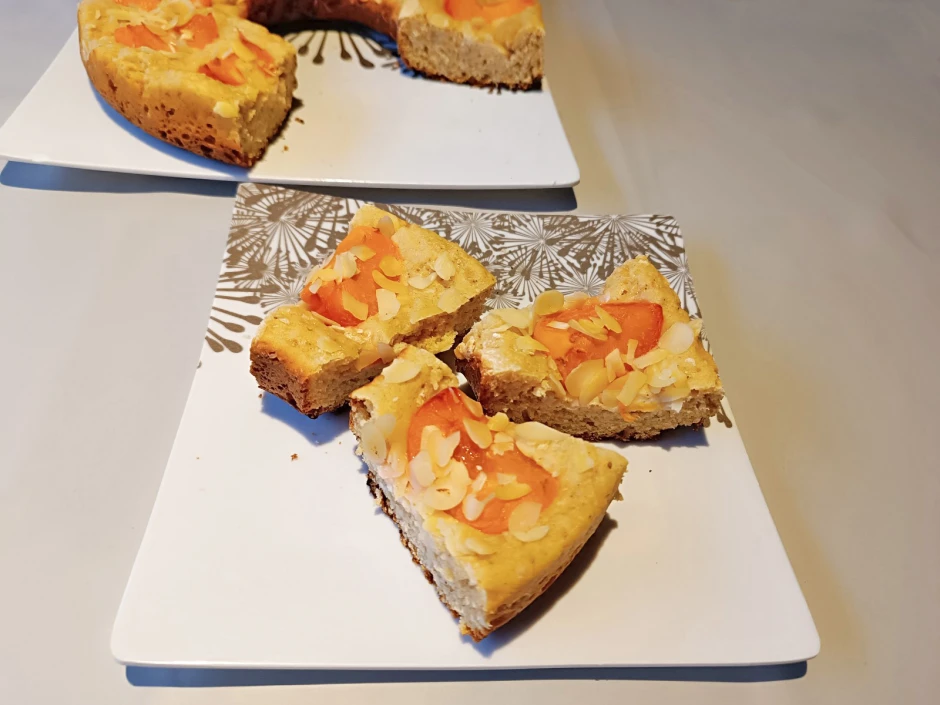 Butterkuchen mit Marillen aus dem Camping-Backofen