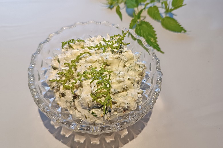 Brennnessel-Frischkäse