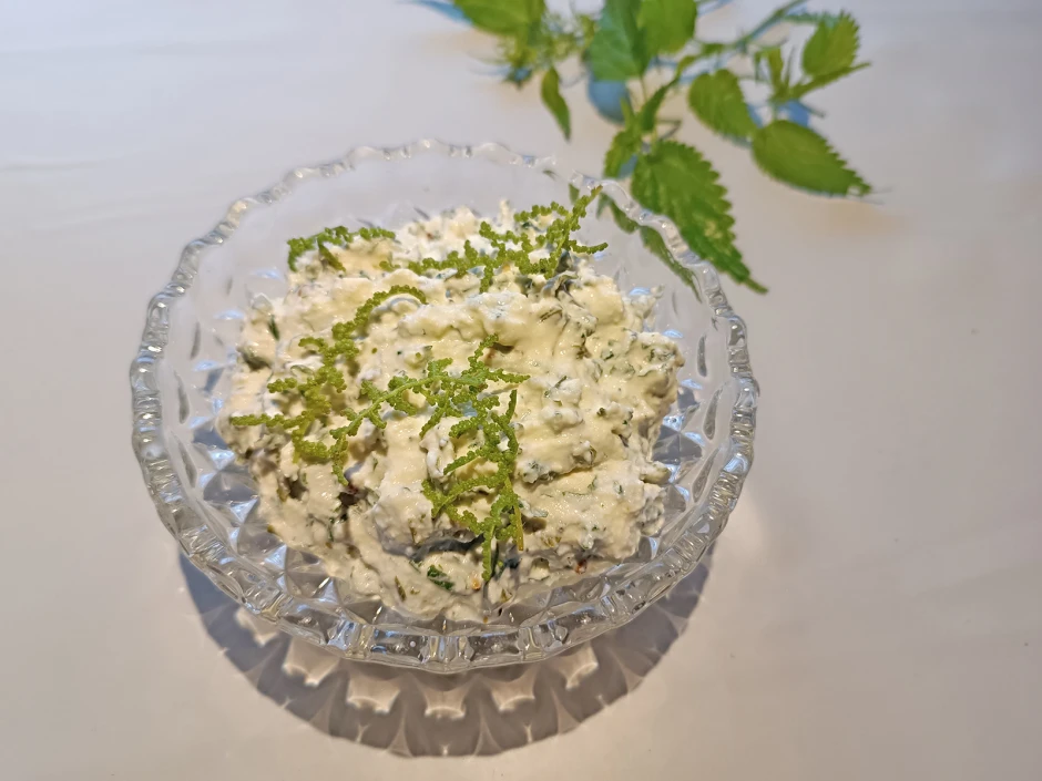 Brennnessel-Frischkäse