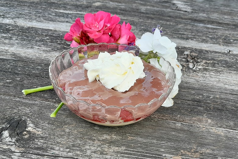 Schoko-Vanille Pudding mit Himbeeren