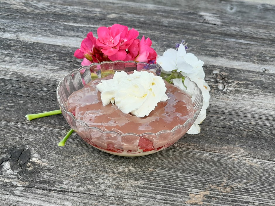 Schoko-Vanille Pudding mit Himbeeren