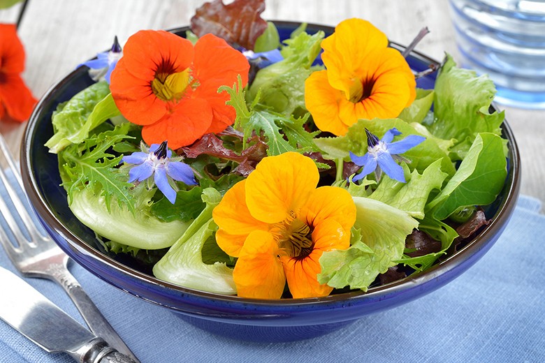 Sommersalat mit Borretsch Blüten