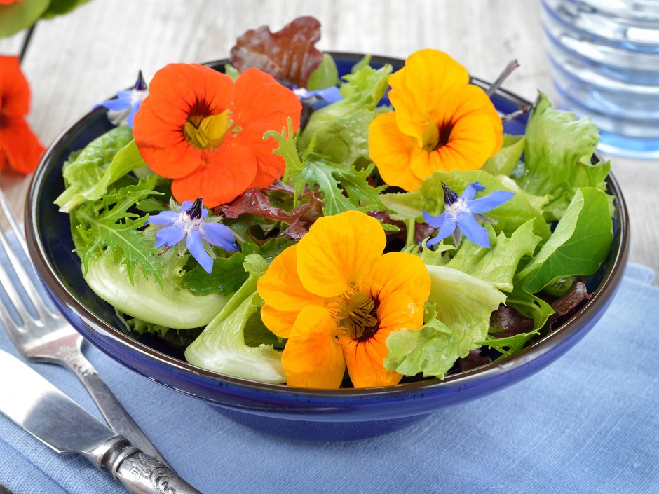 Sommersalat mit Borretsch Blüten