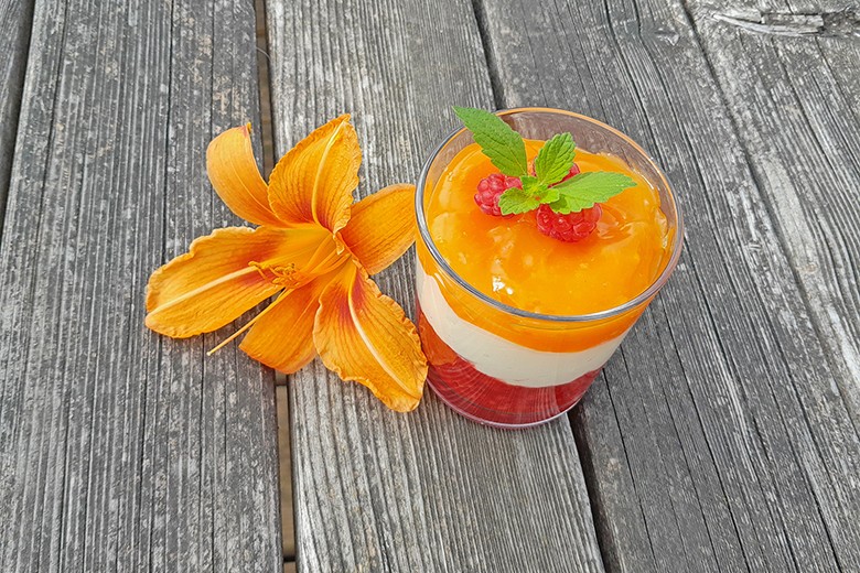 Himbeerdessert mit Multivitaminspiegel