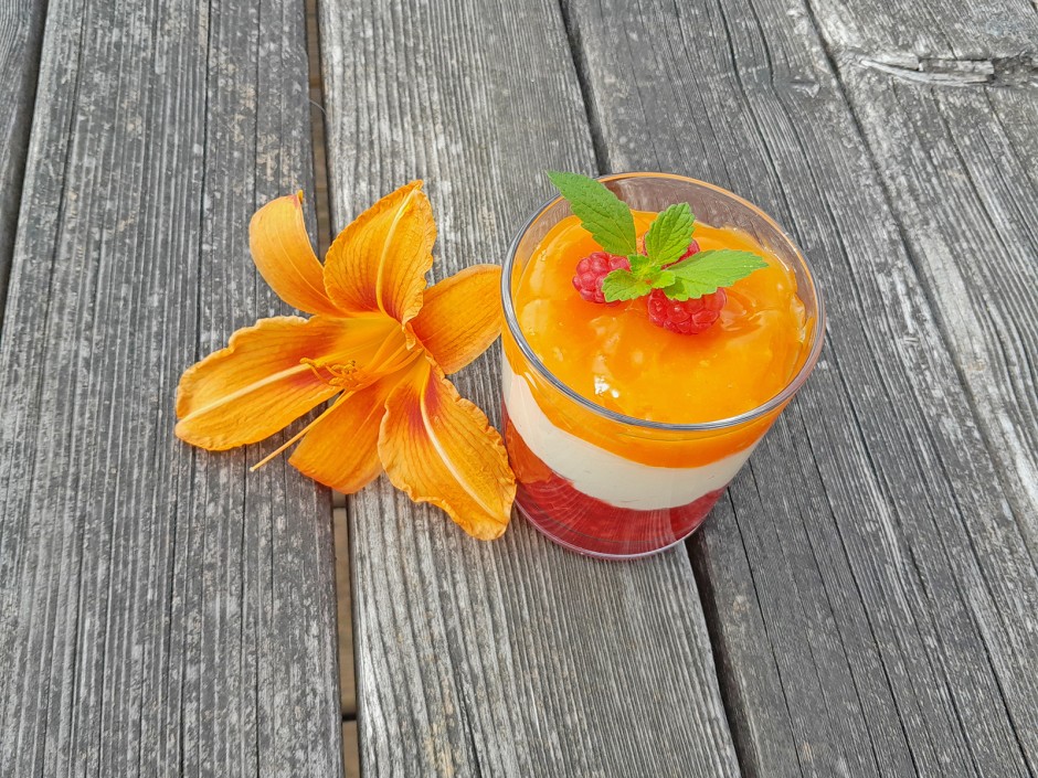 Himbeerdessert mit Multivitaminspiegel
