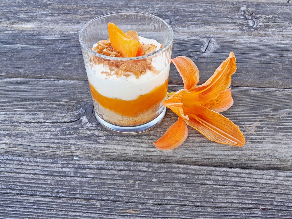 Marillen-Schichtdessert