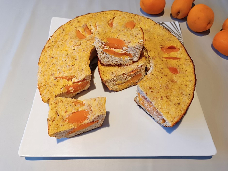 Low-Carb Marillenkuchen aus dem Camping-Backofen
