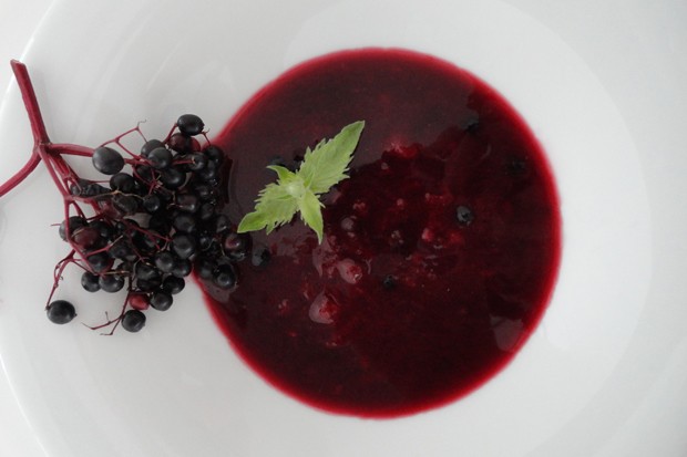 Hollersuppe