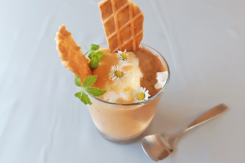 Eis mit Zwetschke und Marille
