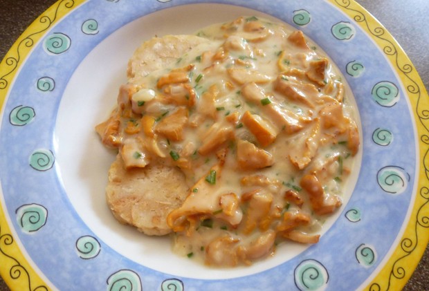 Eierschwammerlsoße
