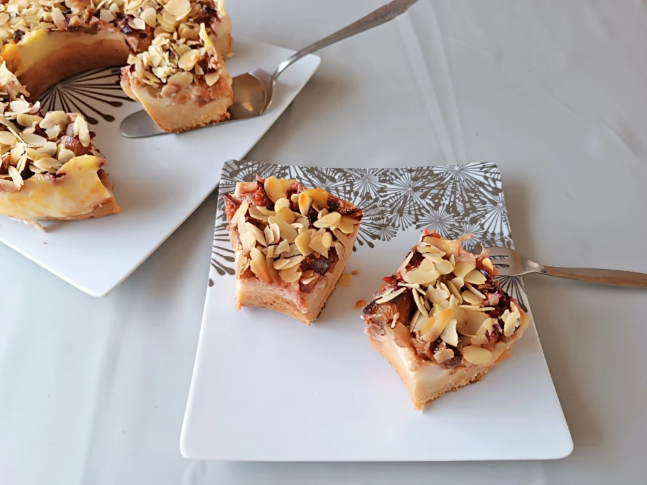Zwetschken-Pudding-Kuchen aus dem Camping-Backofen