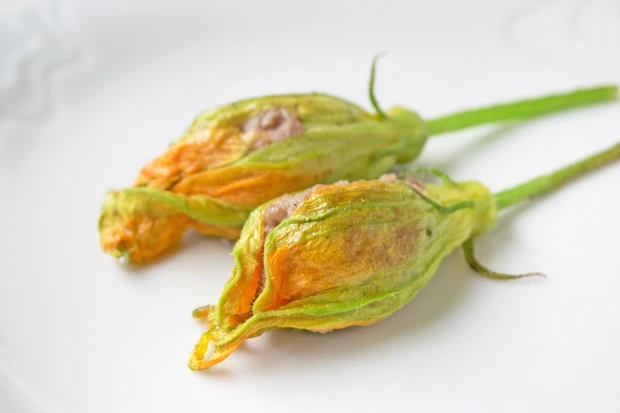 gefüllte Zucchiniblüten