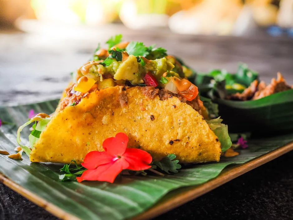 Vegane Jackfrucht Tacos