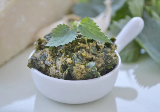 Brennnessel Pesto